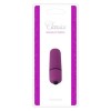 Vibrator Mini Glont Violet, Puternic si Silentios, Rezistent la Apa, cu Baterie