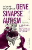 Cumpara ieftin Gene. Sinapse. Autism. O calatorie spre diversitatea persoanelor cu autism/Thomas Bourgeron