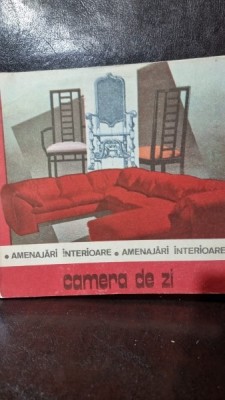 Amenajari interioare, camera de zi - Daniela Radulescu foto