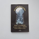 Dan Silviu Boerescu, Secretele Bucurestilor. Mari calamitati din istoria orasului: cutremure, incendii, inundatii, epidemii, Bucuresti, 2017