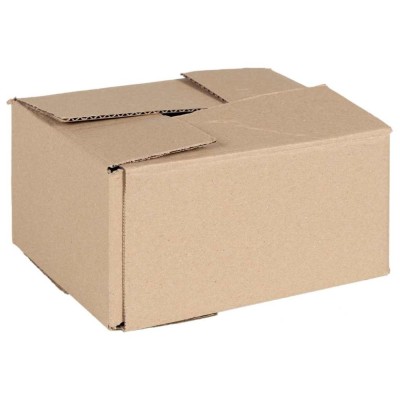 Cutie pliabilă 50 buc 20x15x10 cm Carton foto
