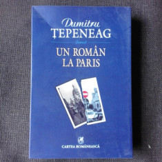 UN ROMAN LA PARIS , DUMITRU TEPENEAG