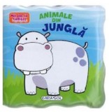 Animale din jungla |