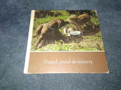 HERBERT SEYFARTH - GUITEL PUIUL DE MISTRET foto
