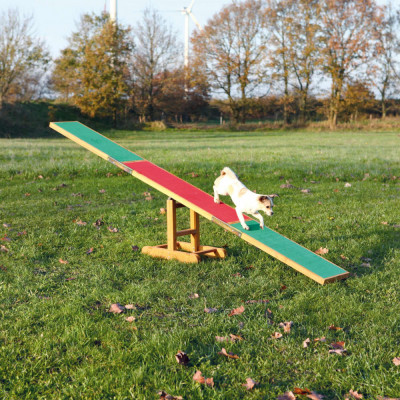 Jucarie Balansoar Agility Wippe 300x54x34 cm 80 kg 3213 foto