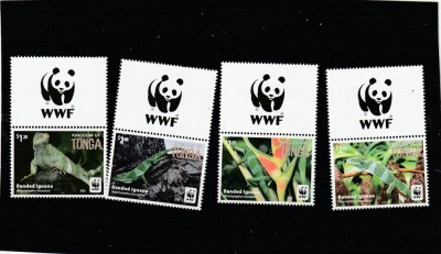 Tonga 2016 - Fauna , WWF , Iguana , serie 4 valori cu vigneta wwf , dantelate , MNH , Mi.2098-2101 foto