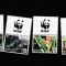 Tonga 2016 - Fauna , WWF , Iguana , serie 4 valori cu vigneta wwf , dantelate , MNH , Mi.2098-2101