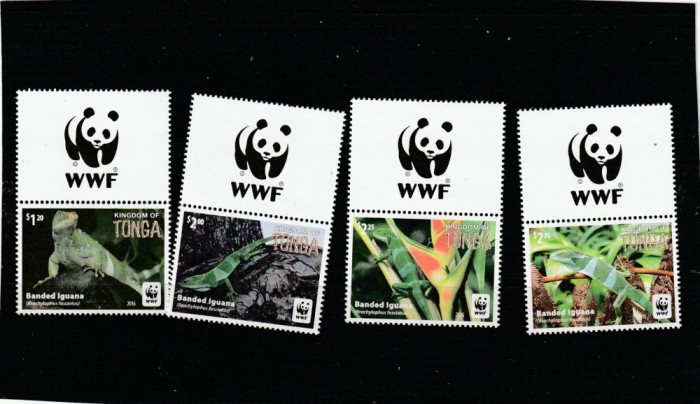 Tonga 2016 - Fauna , WWF , Iguana , serie 4 valori cu vigneta wwf , dantelate , MNH , Mi.2098-2101