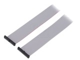 Cablu panglică SAMTEC IDC 20 pini 508mm FFSD-20-D-20.00-01-N