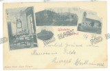 5655 - SIRIA, Arad, Litho, Romania - old postcard - used - 1899
