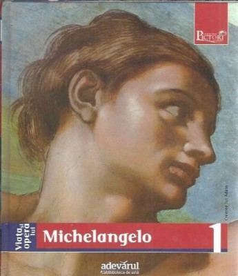 Viata si opera lui Michelangelo foto
