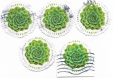 S.U.A. - Planta verde carnoasa de clima arida, 2017 - x 5 buc., obliterate