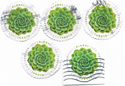 S.U.A. - Planta verde carnoasa de clima arida, 2017 - x 5 buc., obliterate foto
