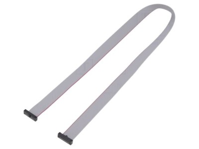 Cablu panglică SAMTEC IDC 508mm FFSD-10-D-20.00-01-N cu conectori IDC ambele părți foto
