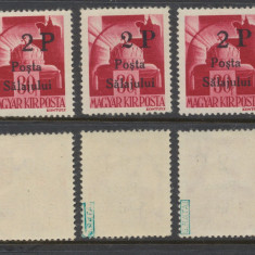 1945 ROMANIA Posta Salajului lot 3x timbru local 2P/ 30f coroana MNH tip diferit