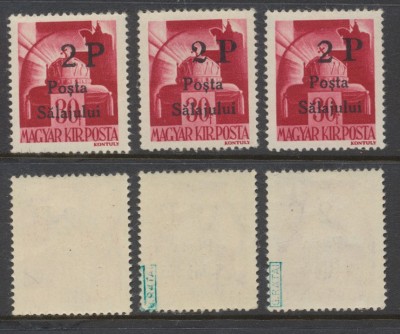 1945 ROMANIA Posta Salajului lot 3x timbru local 2P/ 30f coroana MNH tip diferit foto