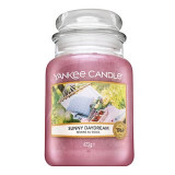 Yankee Candle Sunny Daydream lum&acirc;nare parfumată 623 g