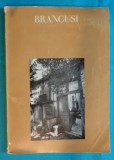 Constantin Brancusi a retrospective exibition at Solomon R Guggenheim museum New York 1969 ( catalog album de arta in limba engleza )