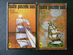 Radu Tudoran - Toate panzele sus 2 volume foto