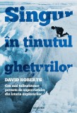 Singur &icirc;n ținutul ghețurilor. Cea mai tulburătoare poveste de supraviețuire din istoria explorărilor - Editura Art