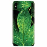Husa silicon pentru Apple Iphone X, Leaves And Dew