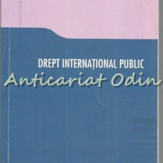 Drept International Public - Carmen Moldovan