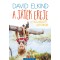 A j&aacute;t&eacute;k ereje - A visszakapott gyerekkor - David Elkind