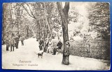 Bucovina 1924 Cernauti Czernowitz - Volksgarten - Hauptallee - Parcul - printata, foarte animata, circulata catre Viena, timbru intact