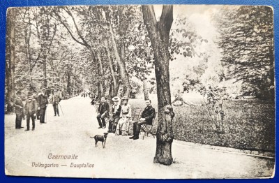 Bucovina 1924 Cernauti Czernowitz - Volksgarten - Hauptallee - Parcul - printata, foarte animata, circulata catre Viena, timbru intact foto