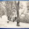 Bucovina 1924 Cernauti Czernowitz - Volksgarten - Hauptallee - Parcul - printata, foarte animata, circulata catre Viena, timbru intact