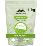 Biostimulator Atlanticell Pochomix 1 kg, Atlantica Agricola