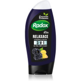 Radox Men Feel Wild gel de duș pentru față, corp și păr pentru bărbați Blackberry &amp; Ginger 225 ml