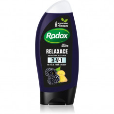 Radox Men Feel Wild gel de duș pentru față, corp și păr pentru bărbați Blackberry & Ginger 225 ml