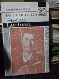 Pe urmele lui Ştefan Luchian - Valentin Ciuca