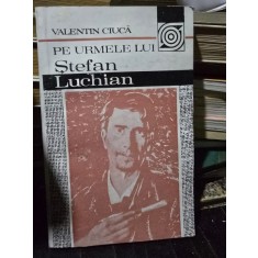 Pe urmele lui Ştefan Luchian - Valentin Ciuca