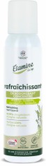 Odorizant BIO casa cu efect revigorant si igienizant, parfum eucalipt, menta si lavanda Etamine