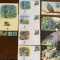 solomon - pasari - serie 4 timbre MNH, 4 FDC, 4 maxime, fauna wwf