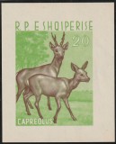 Albania 1962 , Fauna , Caprioara , Cerb , colita nedantelata , MNM , Mi.16