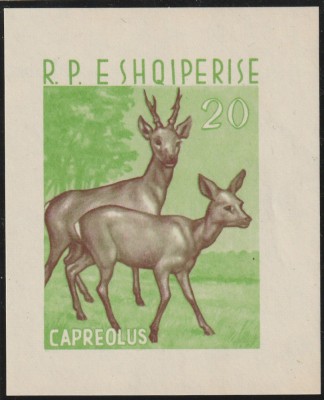 Albania 1962 , Fauna , Caprioara , Cerb , colita nedantelata , MNM , Mi.16 foto