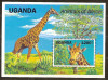 UGANDA 1991 FAUNA GIRAFE COTA MICHEL 13 EURO, Nestampilat