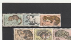 Fauna ,Cehoslovacia. foto