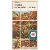 Vulturi pe arborele de foc