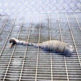 Bieleta de direcție st&acirc;nga TOYOTA HILUX VII Pick-up _N1_, _N2_, _N3_ 2016 11233274