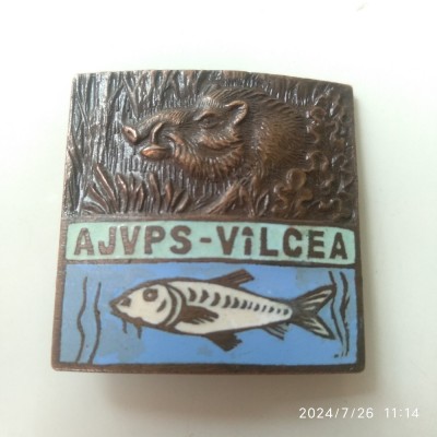 -Y- INSIGNA - AJVPS VALCEA - PESCUIT , VANATOARE foto