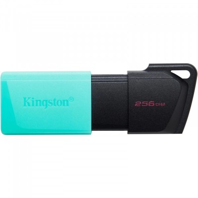 Memorie Externa USB-A 3.2 Kingston DT Exodia M, 256Gb DTXM/256GB foto