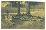 4852 - ETHNIC, vanzator de lubenite, Romania - old postcard - unused, Necirculata, Printata