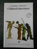 GABRIEL TEPELEA - CALATORII INTERIOARE