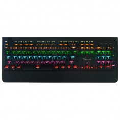 Tastatura mecanica gaming Spacer SPKB-MK-01, LED RGB, Switch Blue