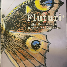 Fluturi din Romania si Republica Moldova, Leon Popa, Ioan Moglan, Tudor Jdanchin