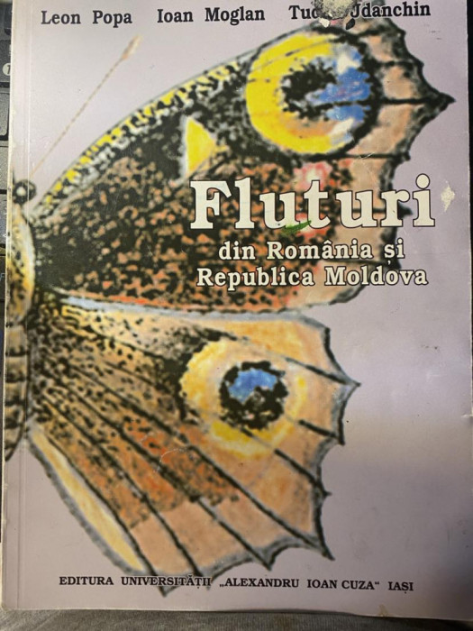 Fluturi din Romania si Republica Moldova, Leon Popa, Ioan Moglan, Tudor Jdanchin